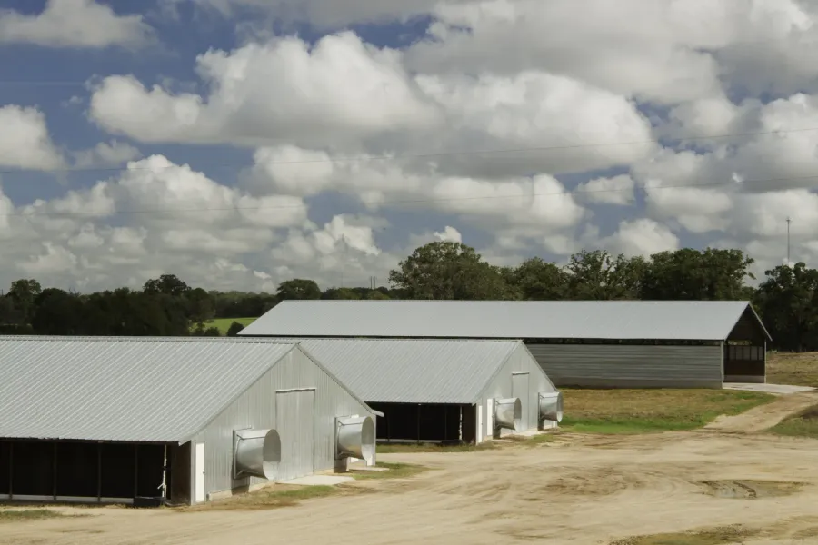 Metal-roofed farm buildings on open ground under big cumulus near Luling, Caldwell County.