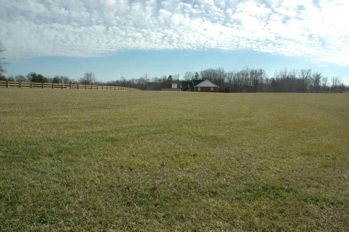 A grassed septic drain field on an open rural lot, with a fence line behind it and no house in frame.