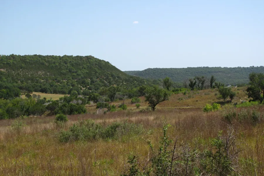 Live oaks and tall grass in front of the wooded ridges of the Balcones Escarpment, western Travis County.